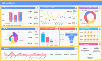 CEO Dashboard