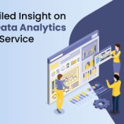 Detailed Insight on Big Data Analytics as a Service