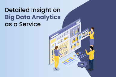 Detailed Insight on Big Data Analytics as a Service