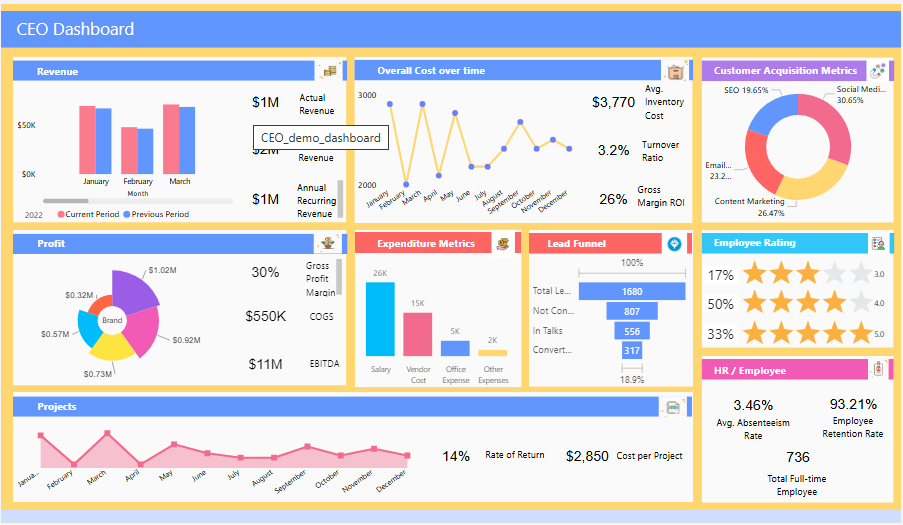 Power BI CEO Dashboard